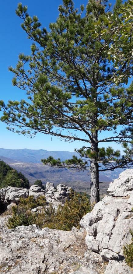 Gites Chez Daniel "Cevennes 1" Mars  Esterno foto